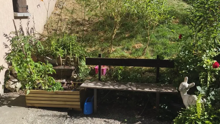 Espace jardin ensoleillé, fleuri et verdoyant avec un banc