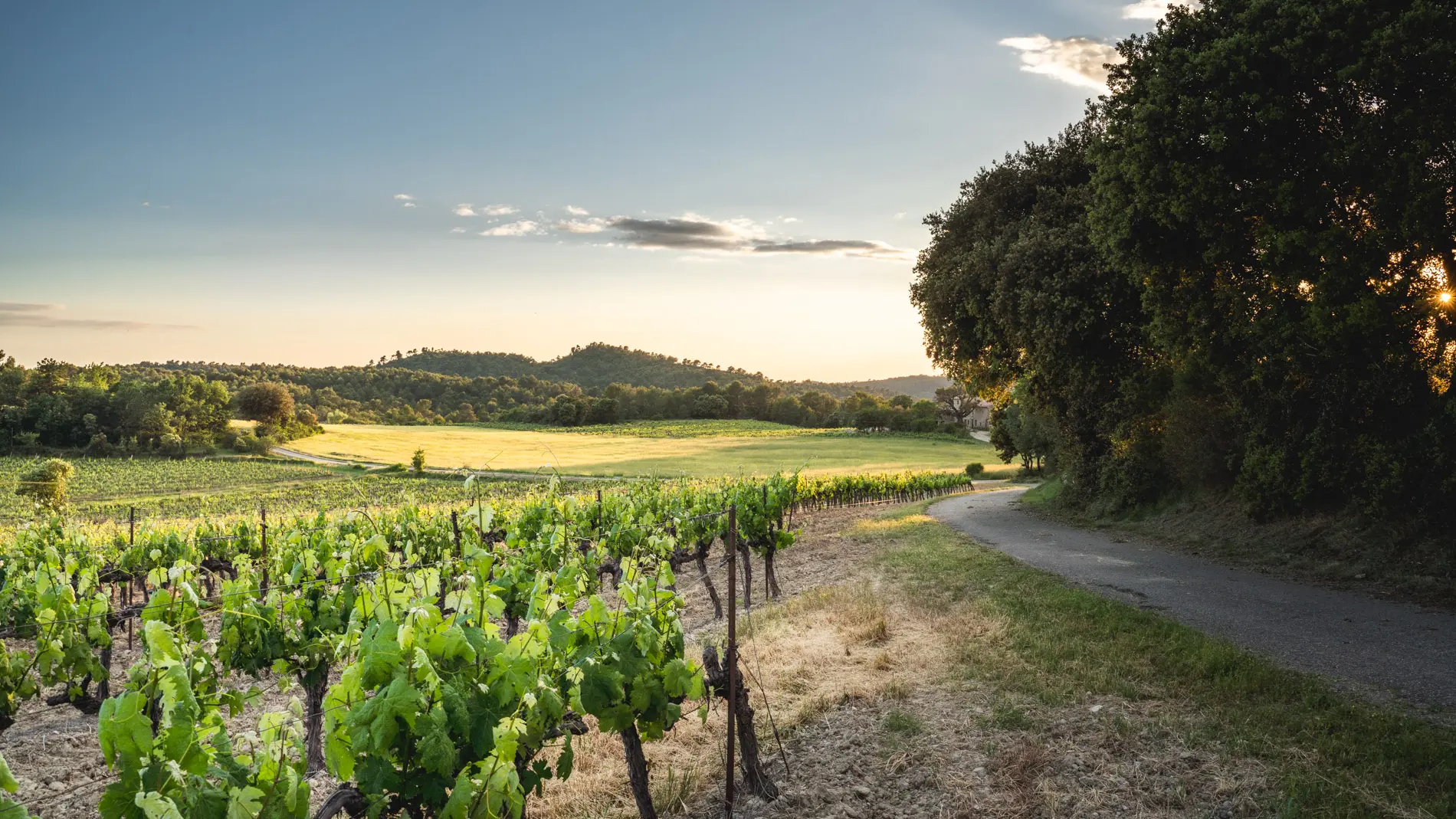 Domaine de Beauvence