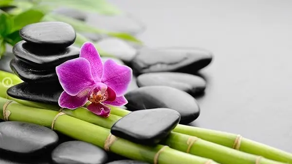 zen