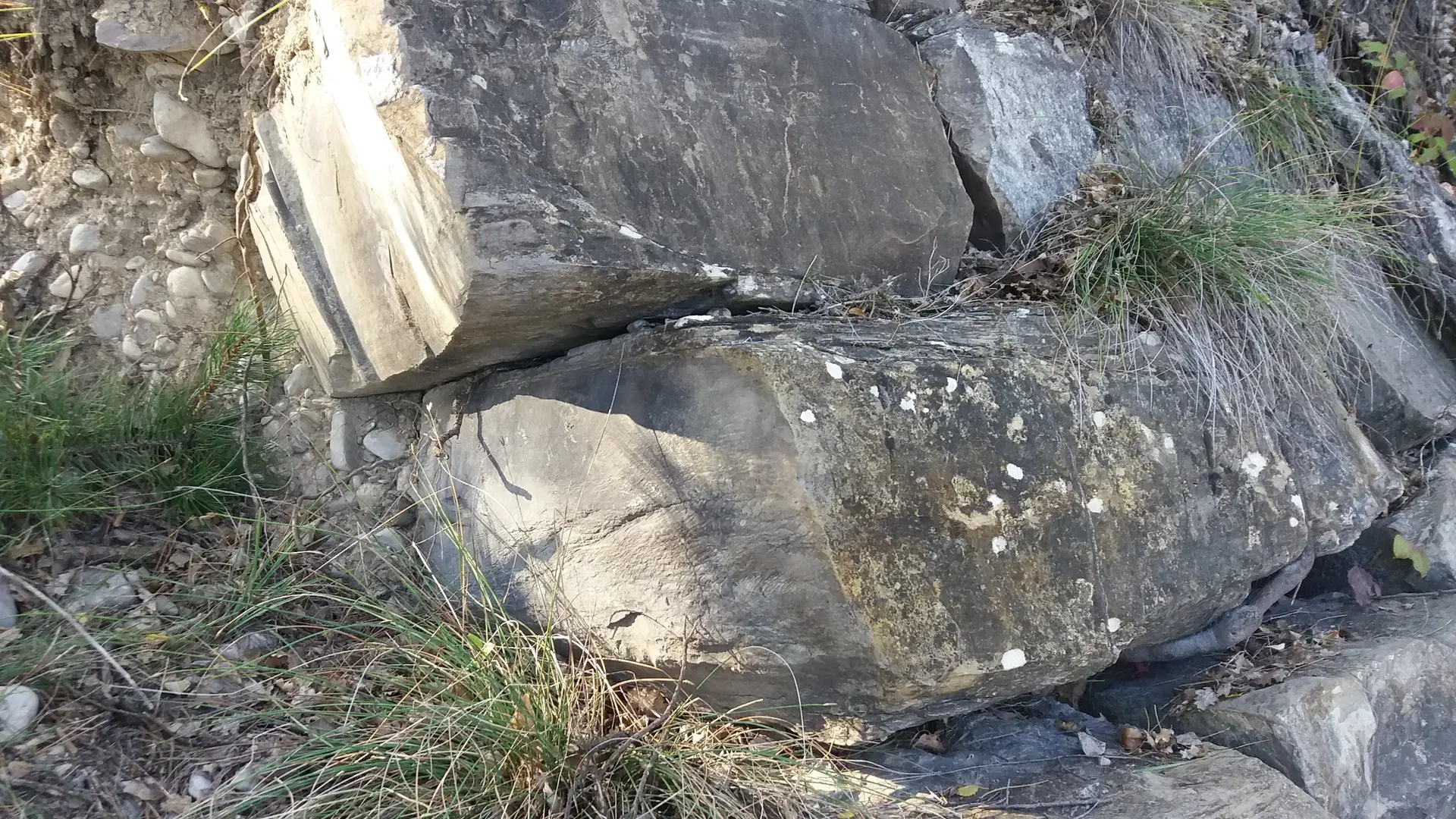 Vestiges de l'embarcadère