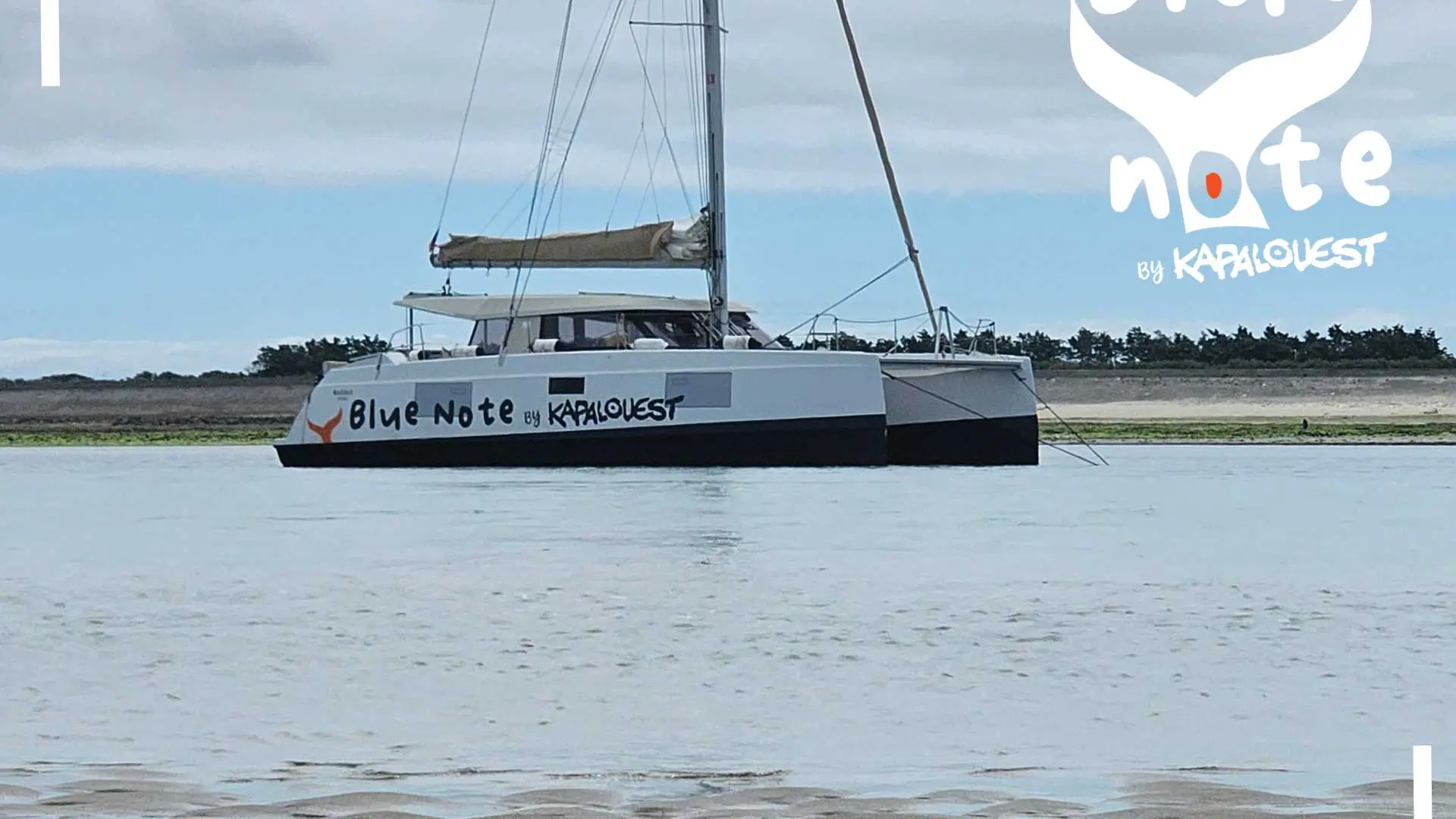 Sortie en mer sur catamaran à voile de 5h par Kapalouest