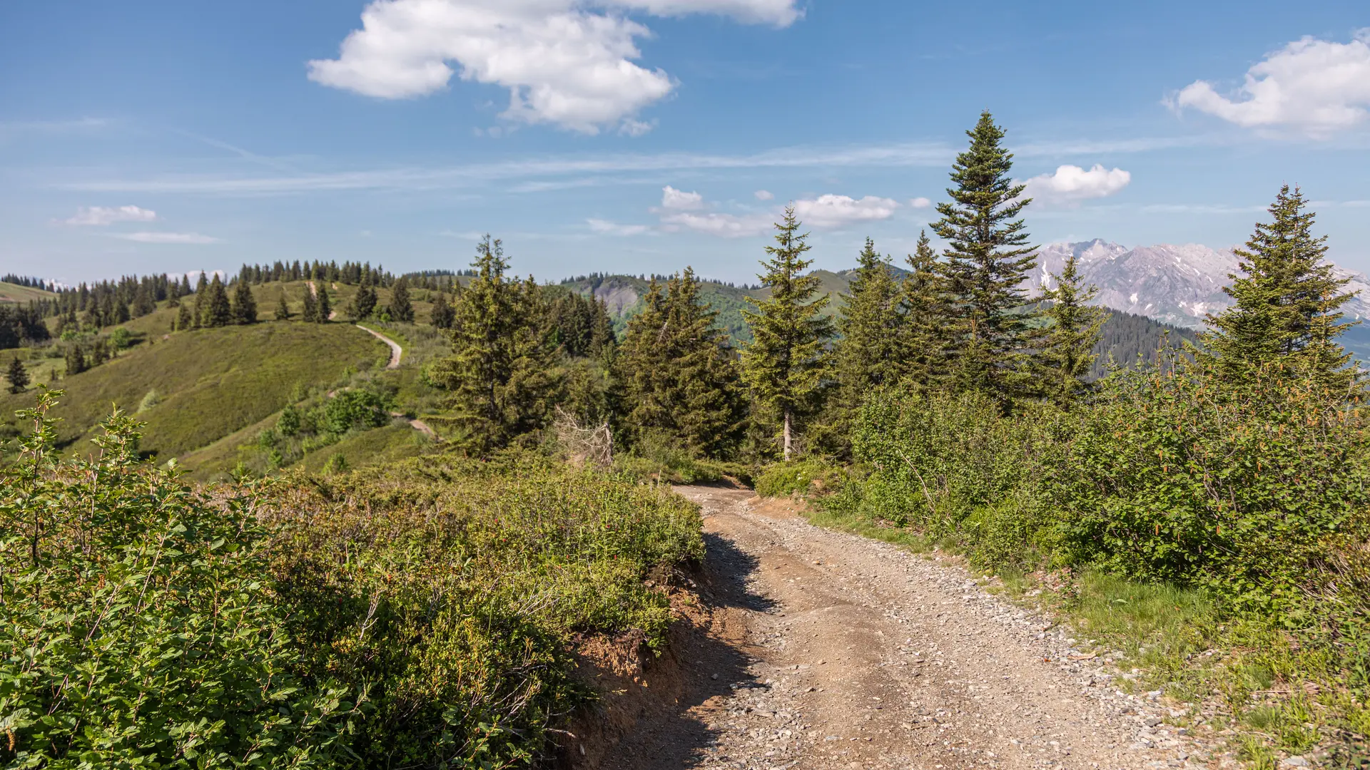 Chemin de terre sur le Jaillet