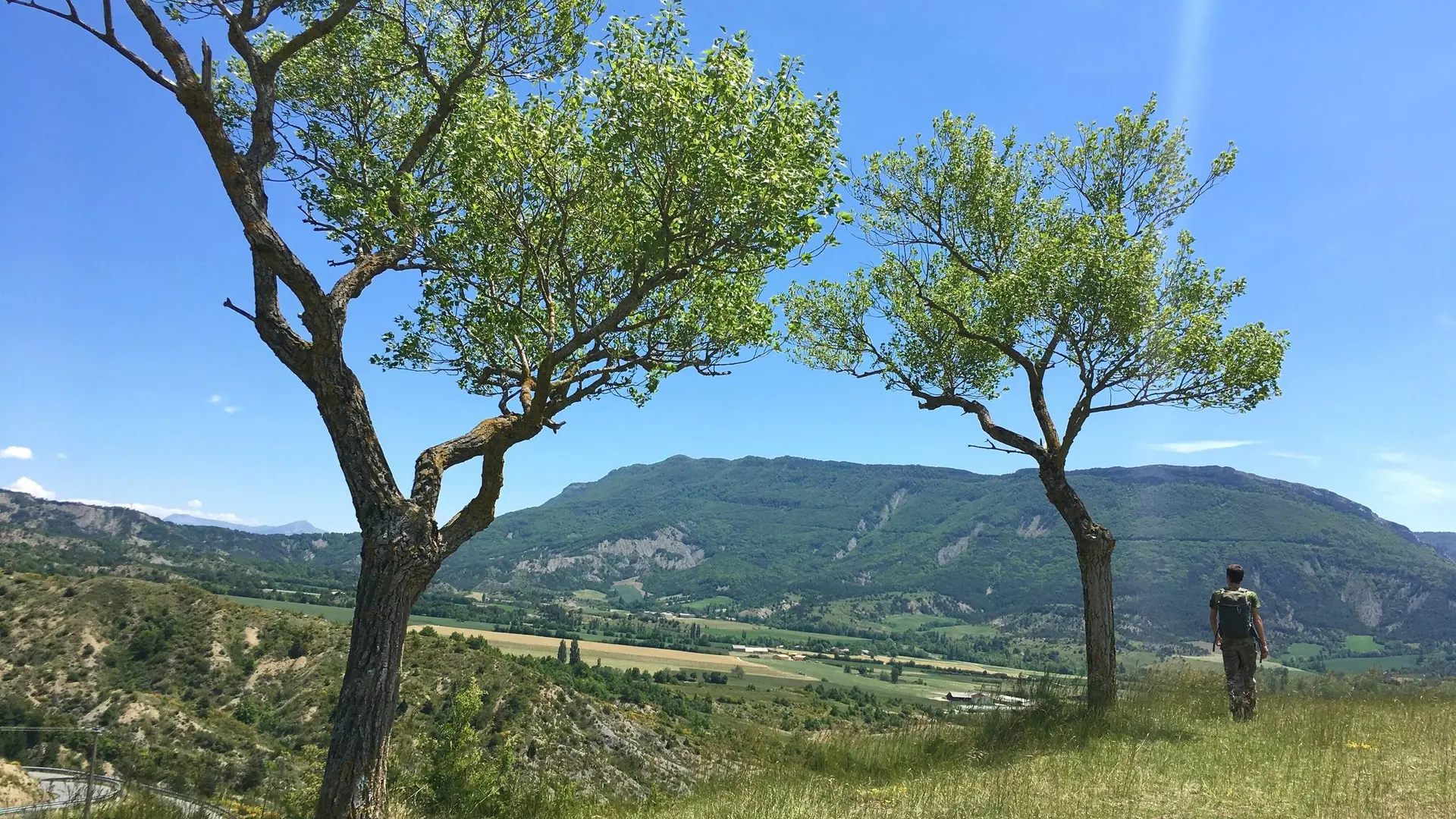 Sur les hauteurs de Savournon