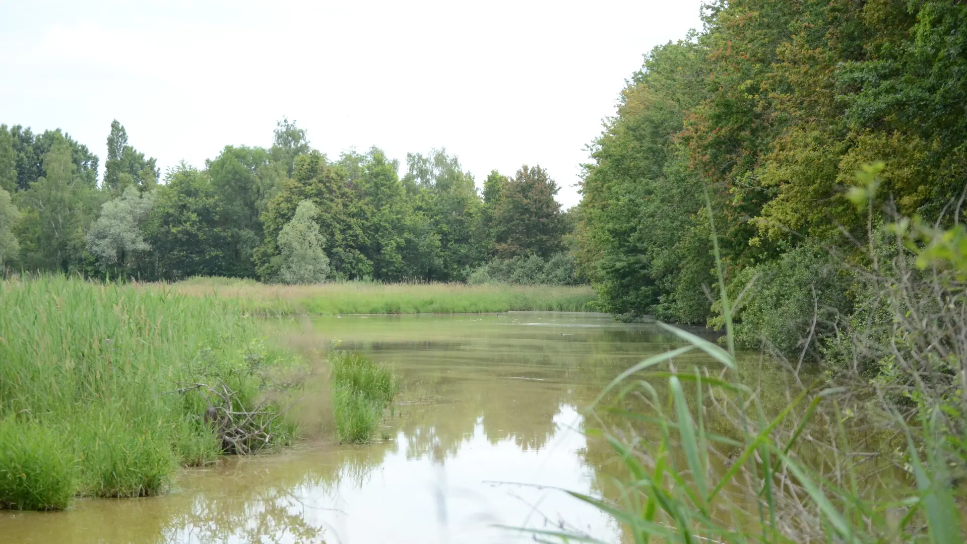 Etang