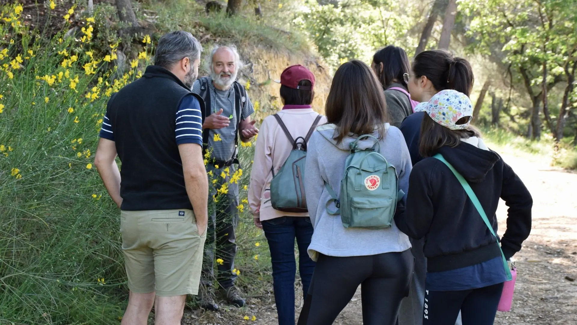 Visite guidée en forêt de Pélicier