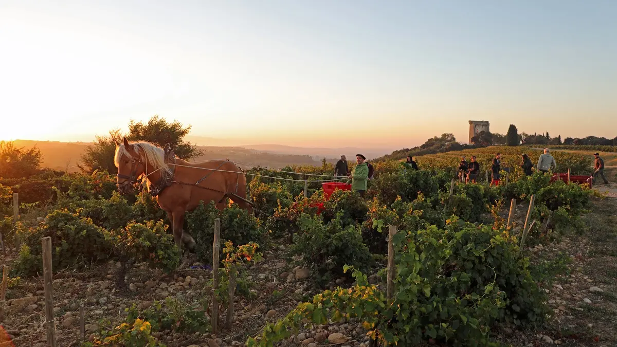 Domaine de Beaurenard