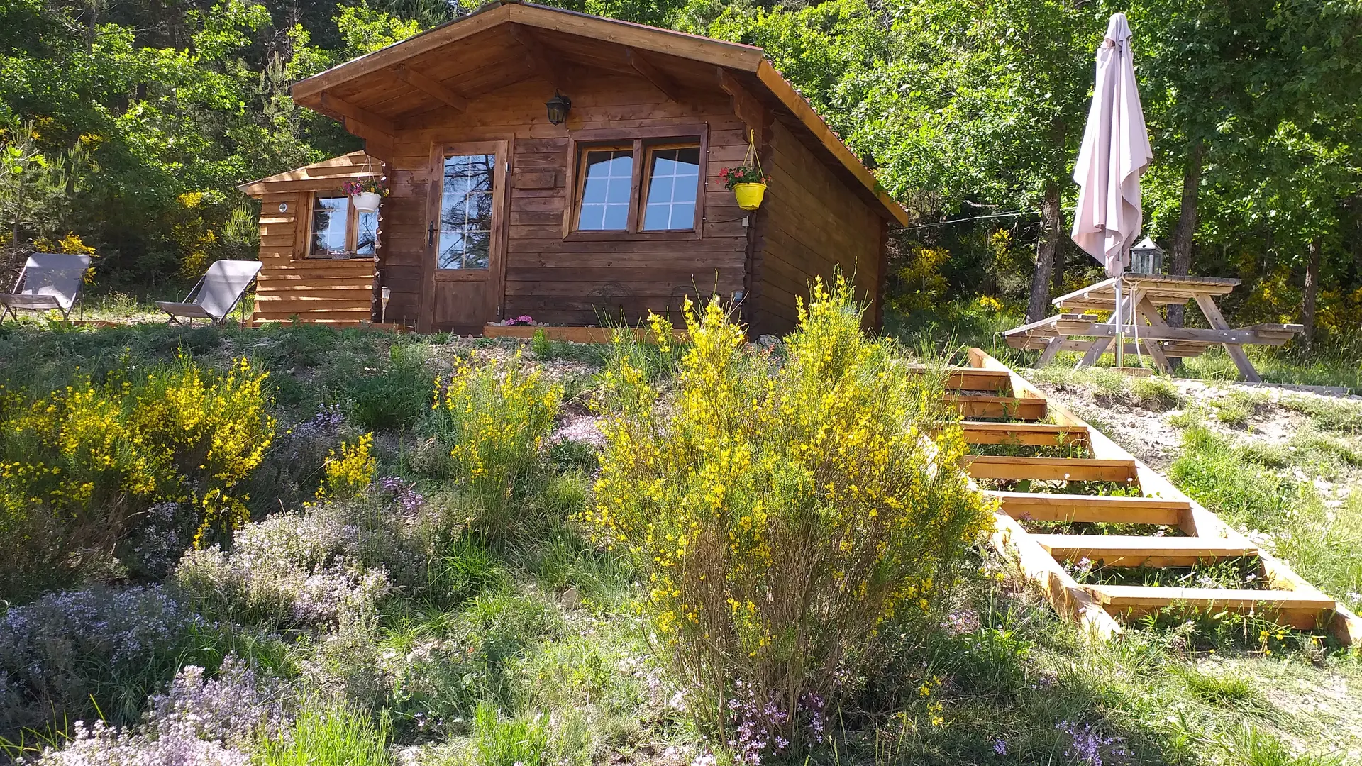 Extérieur chalet bois