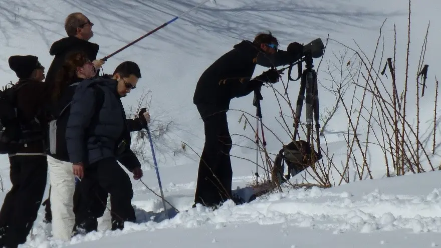 Observation de la faune