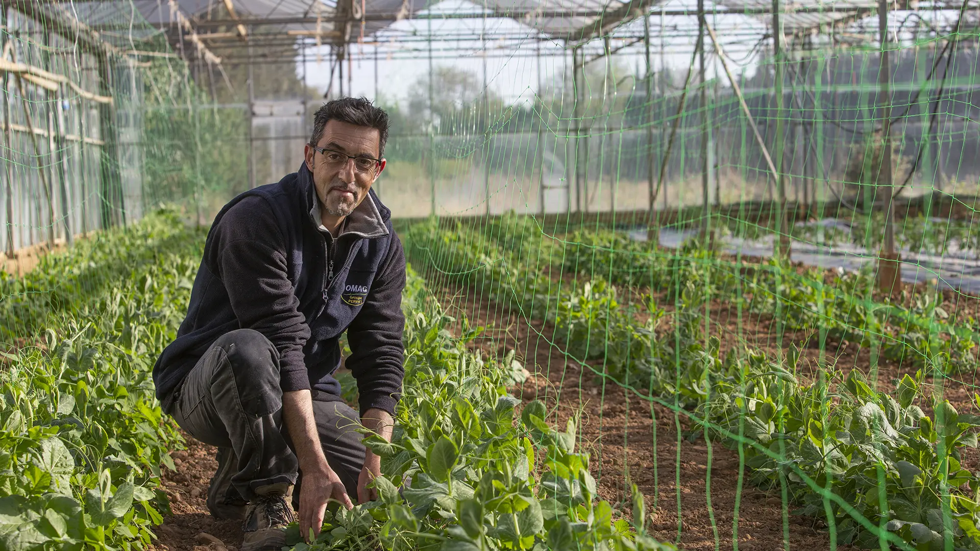 Les paniers de José