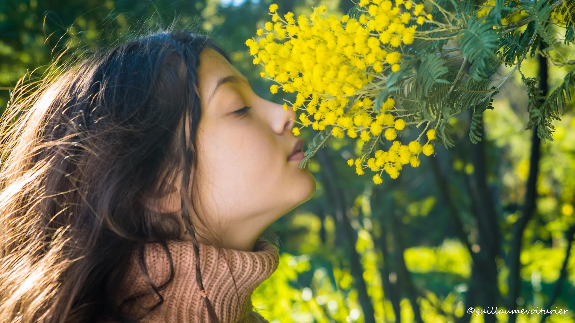 Corso du Mimosa à Cavalaire-sur-Mer