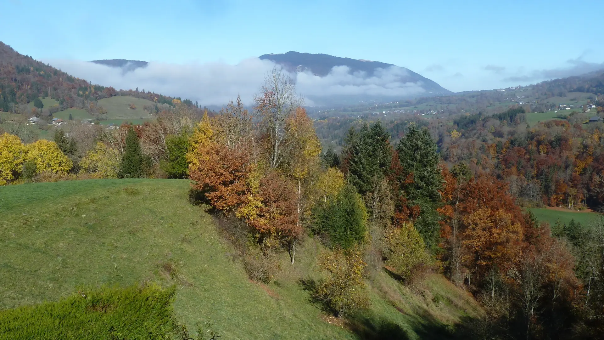 Vue depuis la terrasse à l'automne