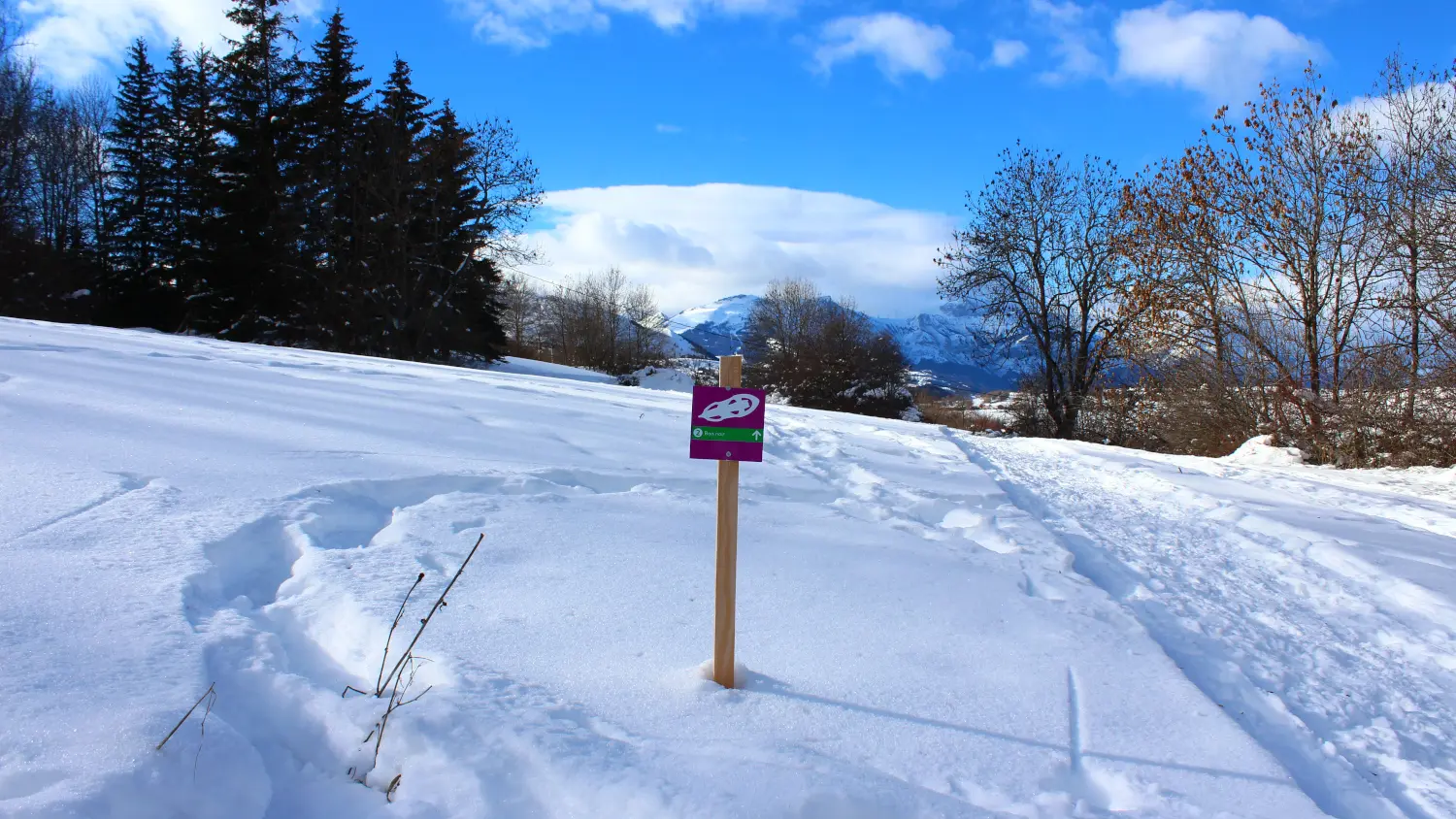 Raquettes Bois noir Ancelle