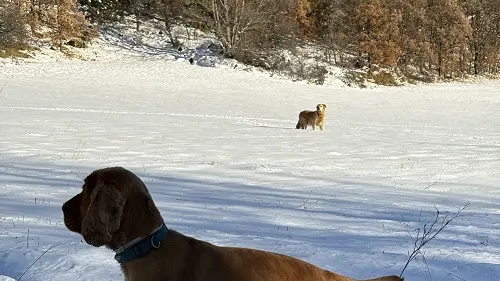 La Bonne Étoile CHORGES