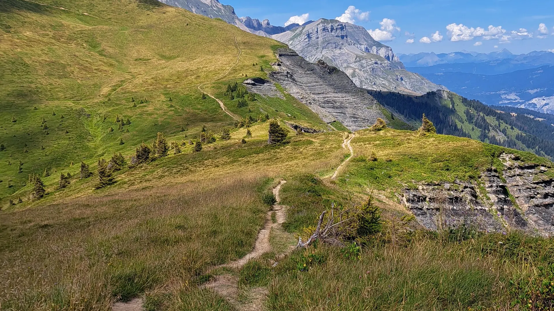 Chemin pédestre en direction des chlaets de l'Avenaz