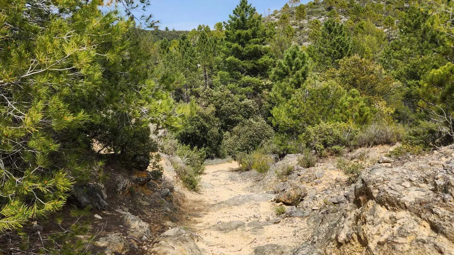 Boucle du domaine Saint-Jean de Villecroze_Villecroze