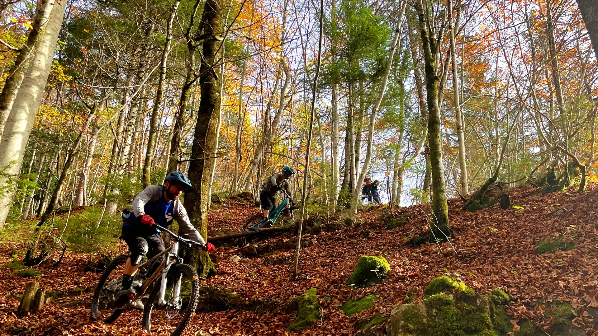 BIKE EXPERIENCE