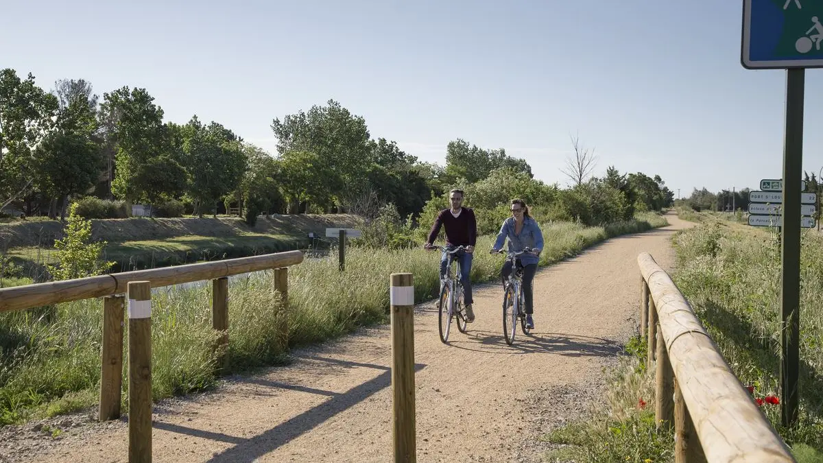 Piste cyclable en Camargue, vers le Mas Thibert