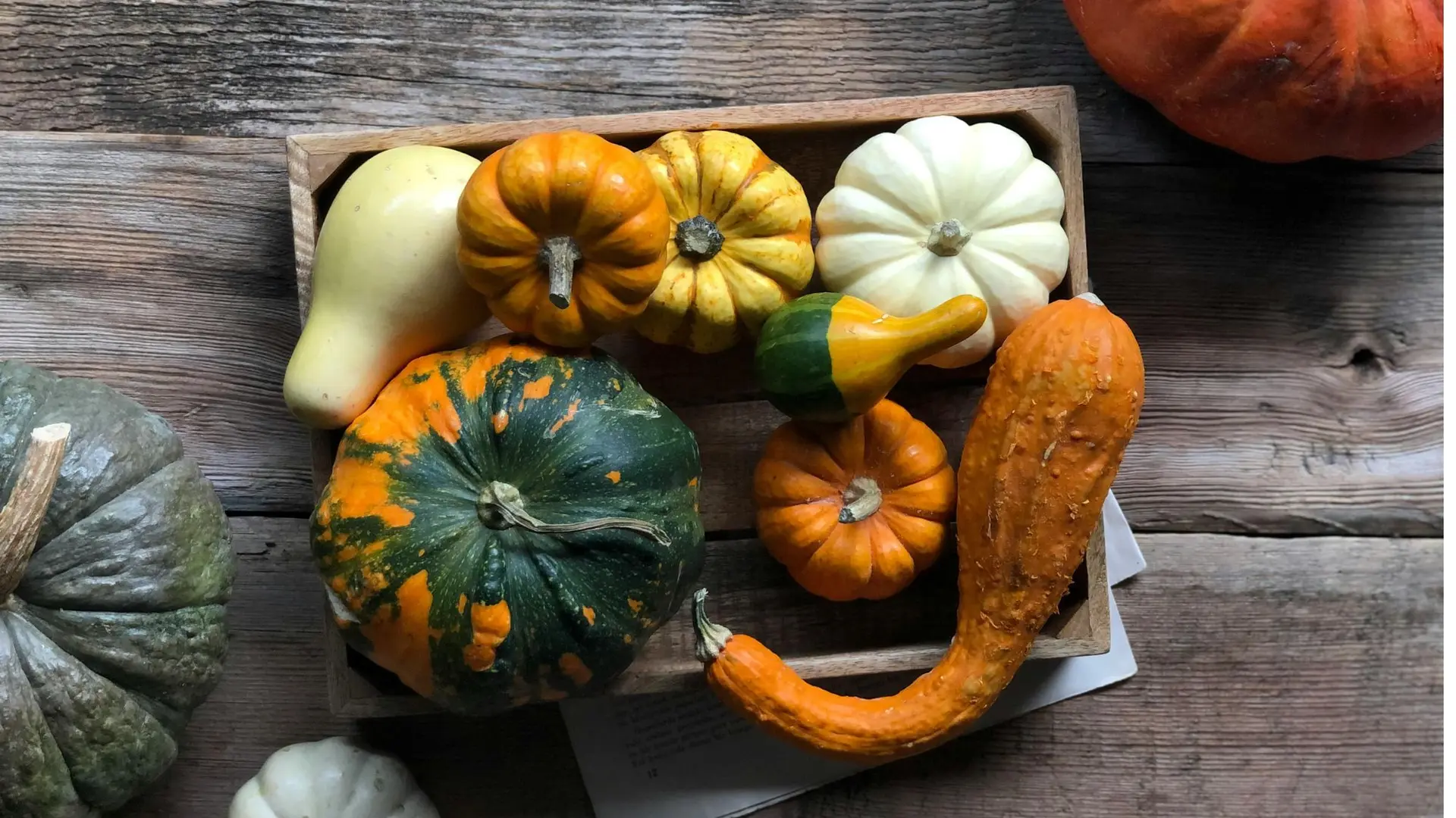 Des courges