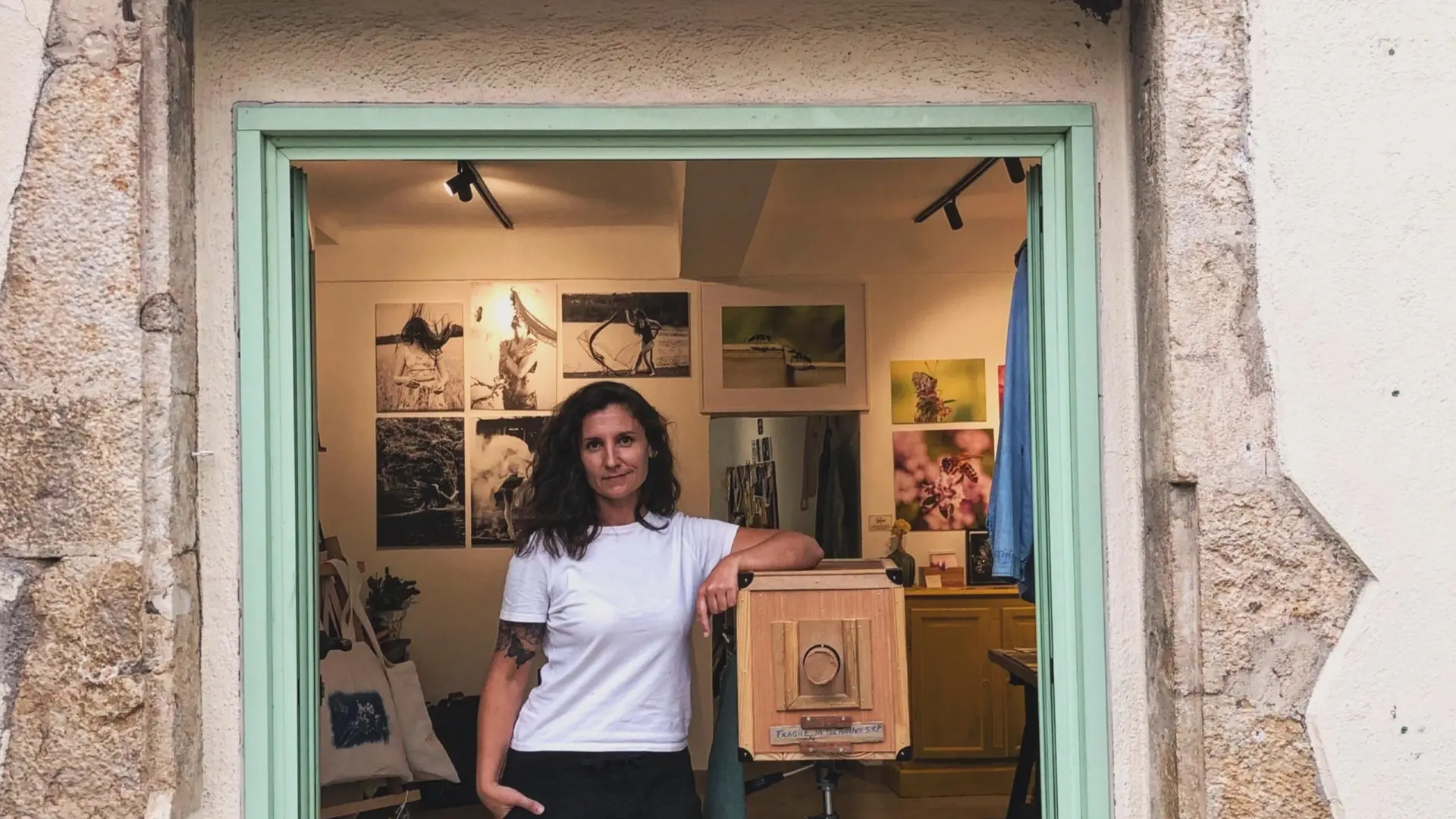 Mme Stéphanie Dantel