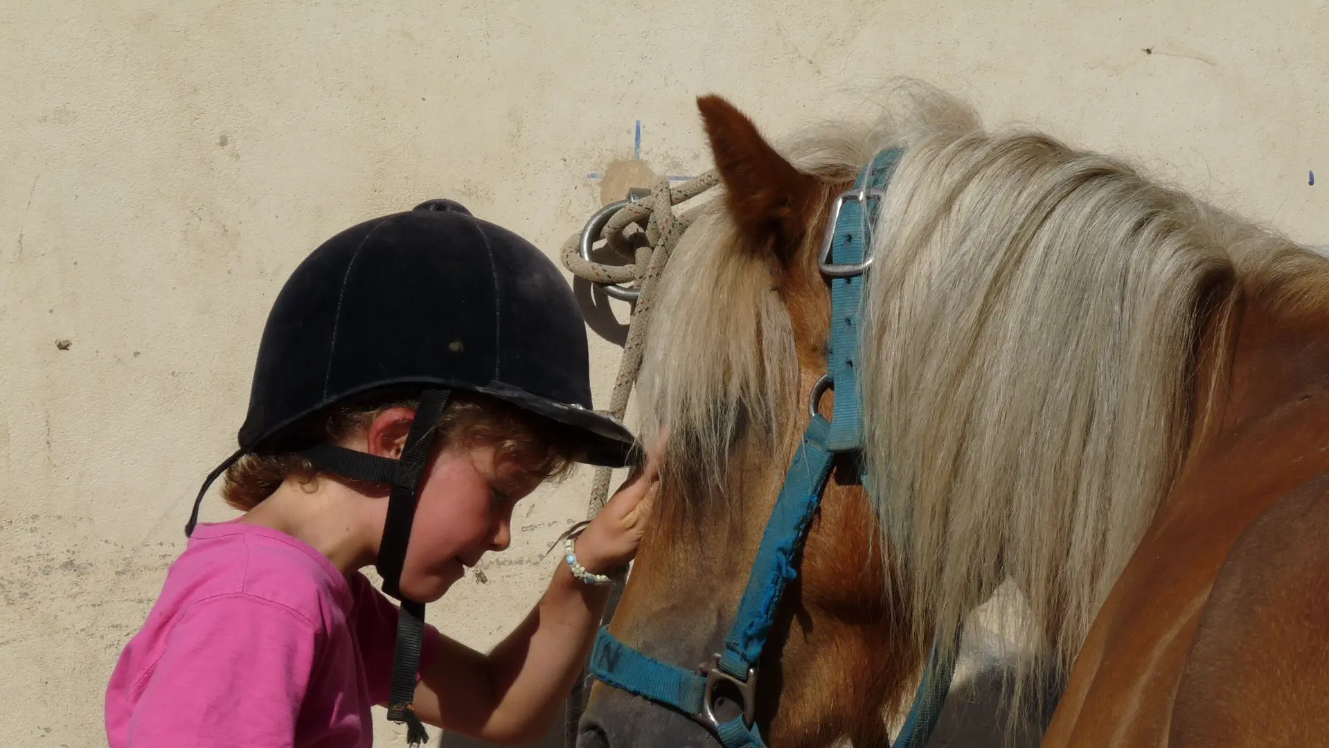 Centre équestre - Thône