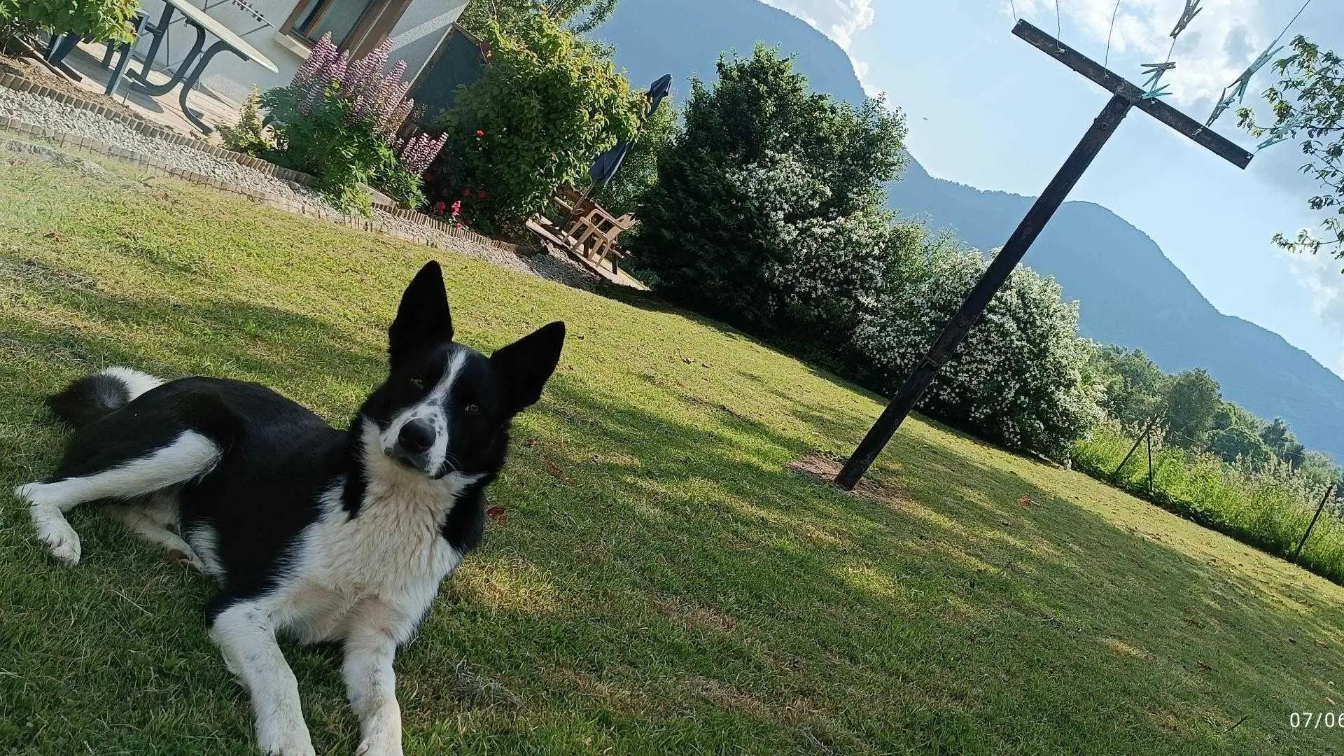 Shaplin, votre meilleur ami pour les vacances ! :)