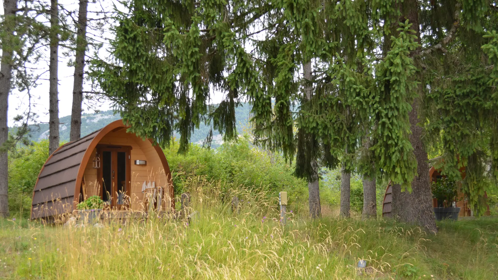 Les Pods des Géorennes_Champfromier