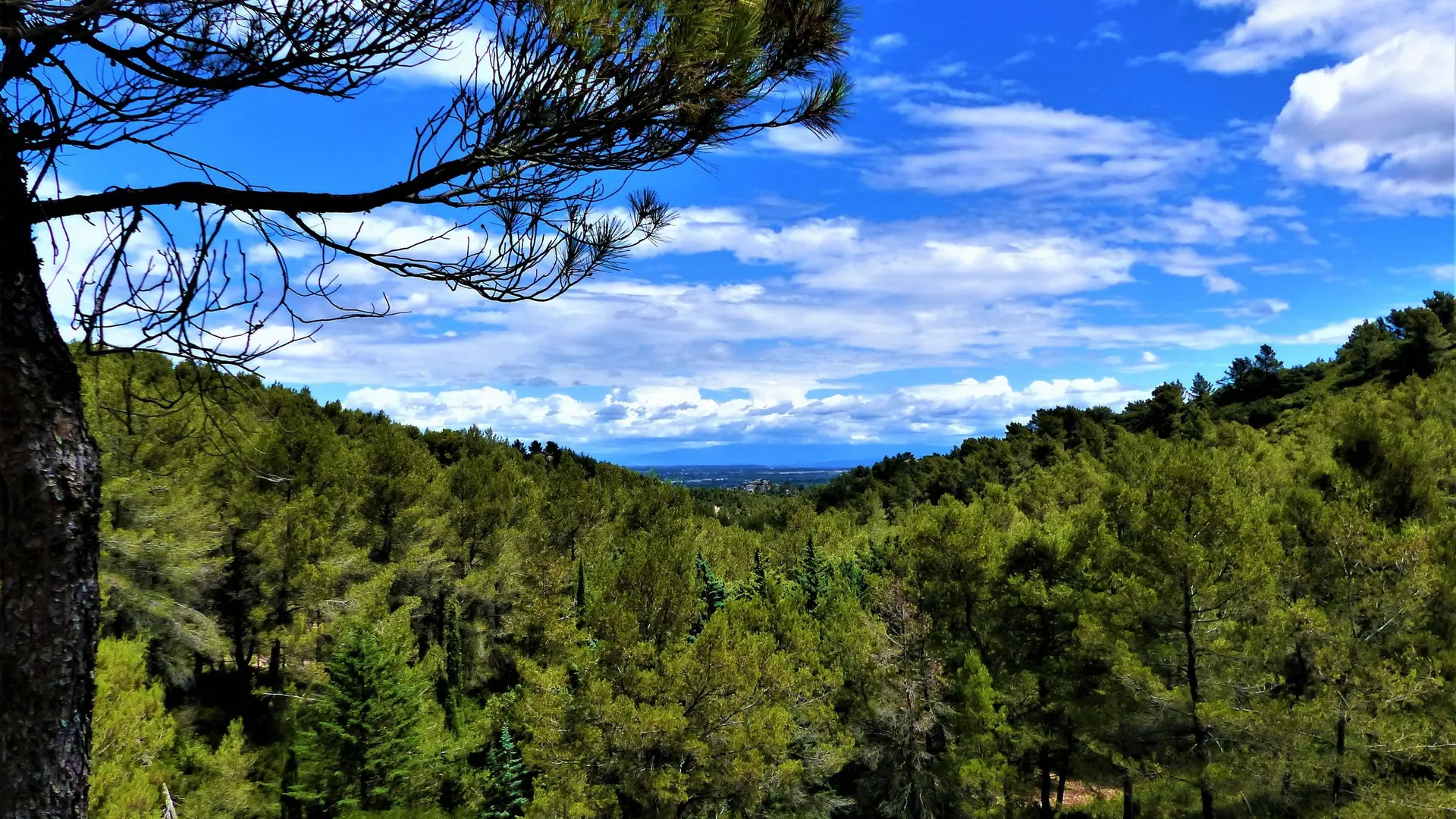 Vue sur le vallon de Valmouirane
