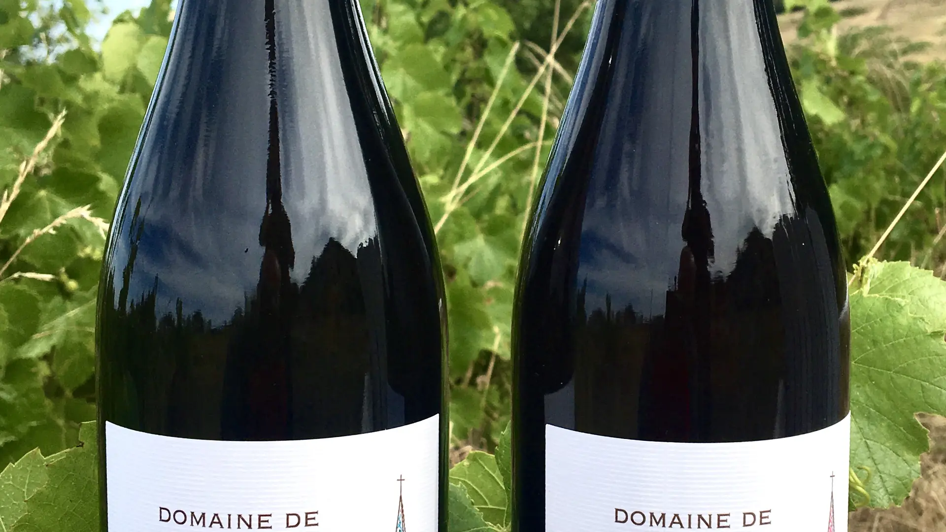 Domaine de la Bénisson Dieu
