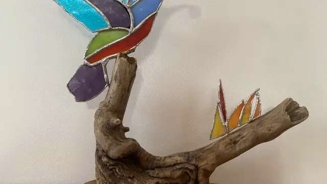 Colibri sur une branche