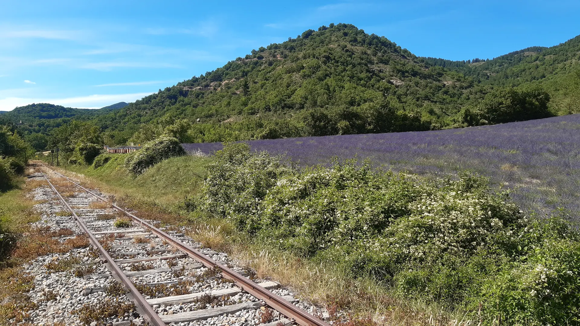 VELORAIL DE HAUTE PROVENCE