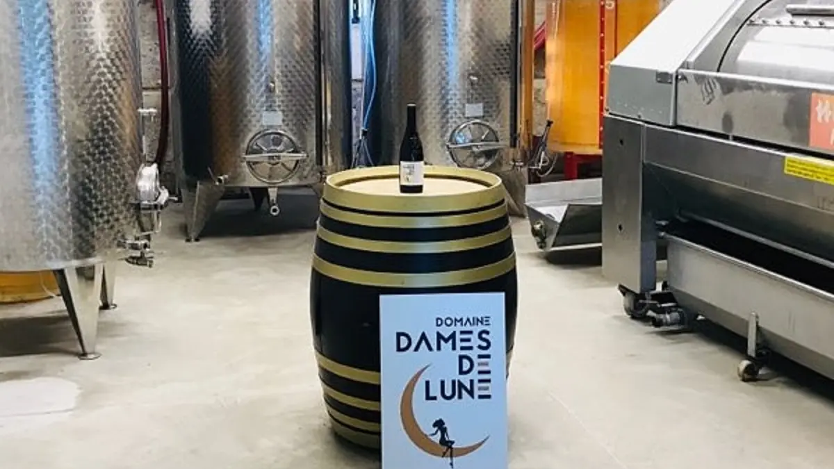 Découverte de la cave de vinification