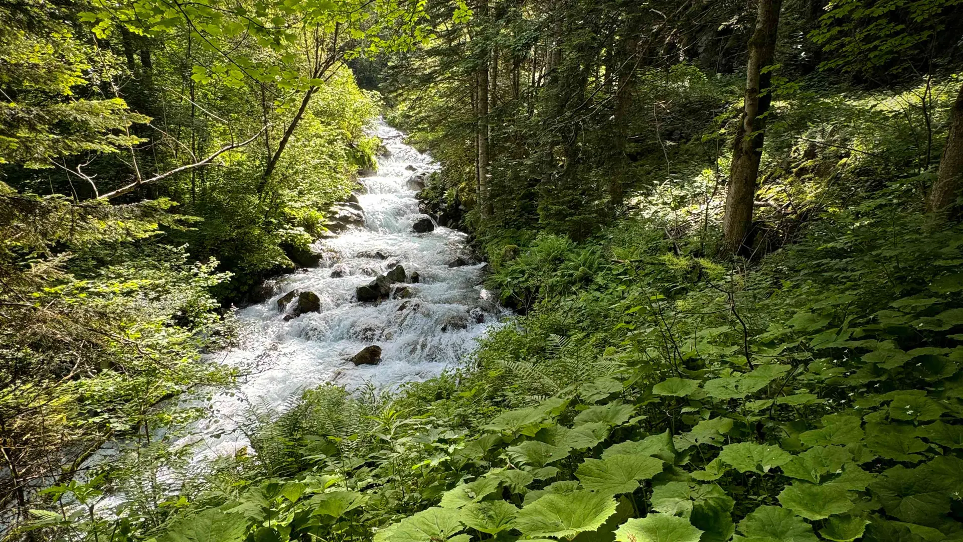 Randonnée dans le vallon de Prentiq Valgaudemar