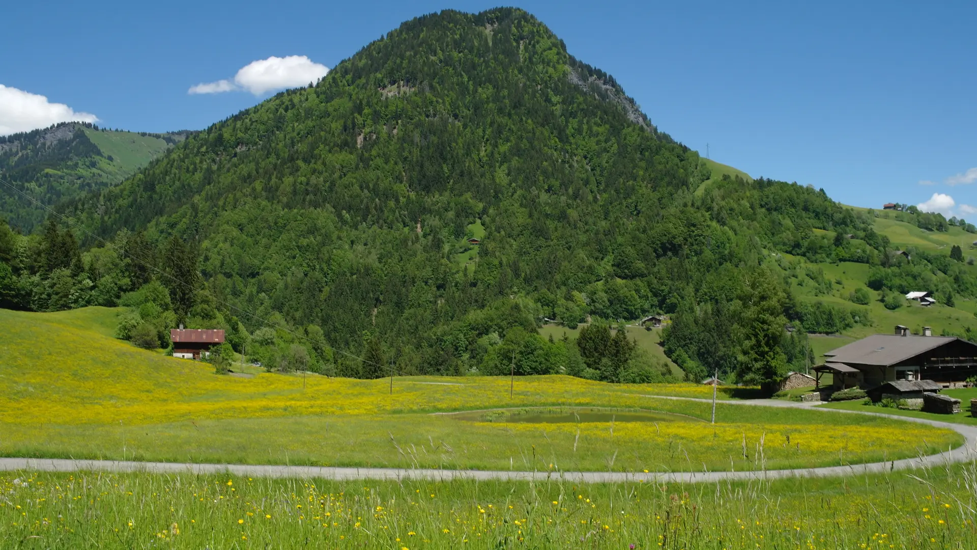 Vue d'ensemble de la montagne