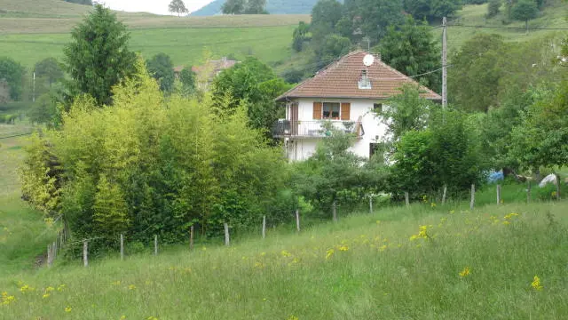 vue exterieur du gîte entouré de verdure et d'arbres