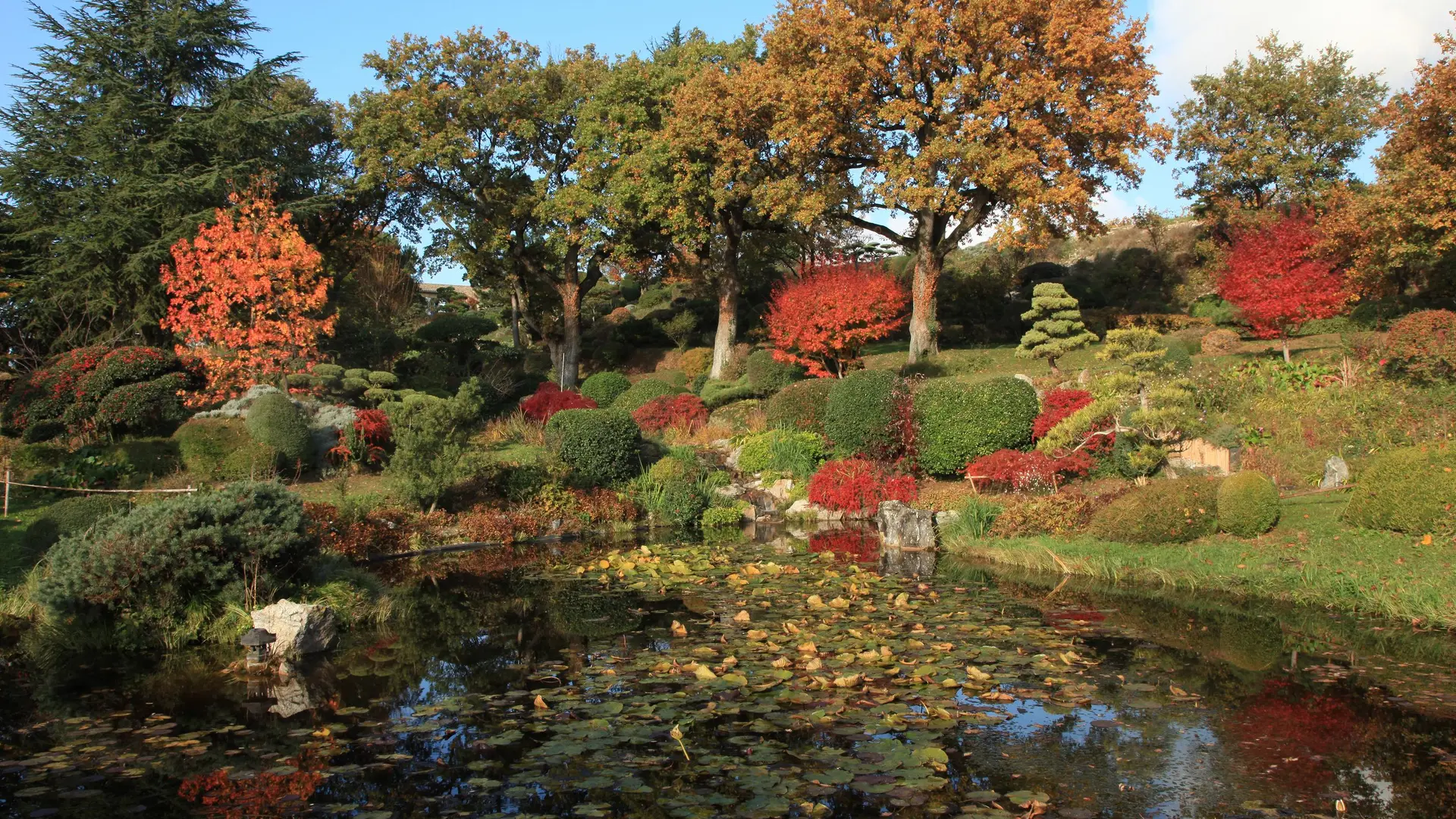 Jardin Zen