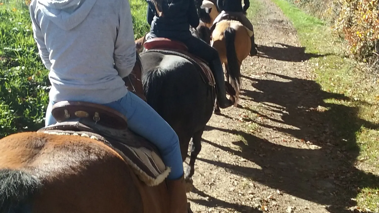 Centre d'équitation western