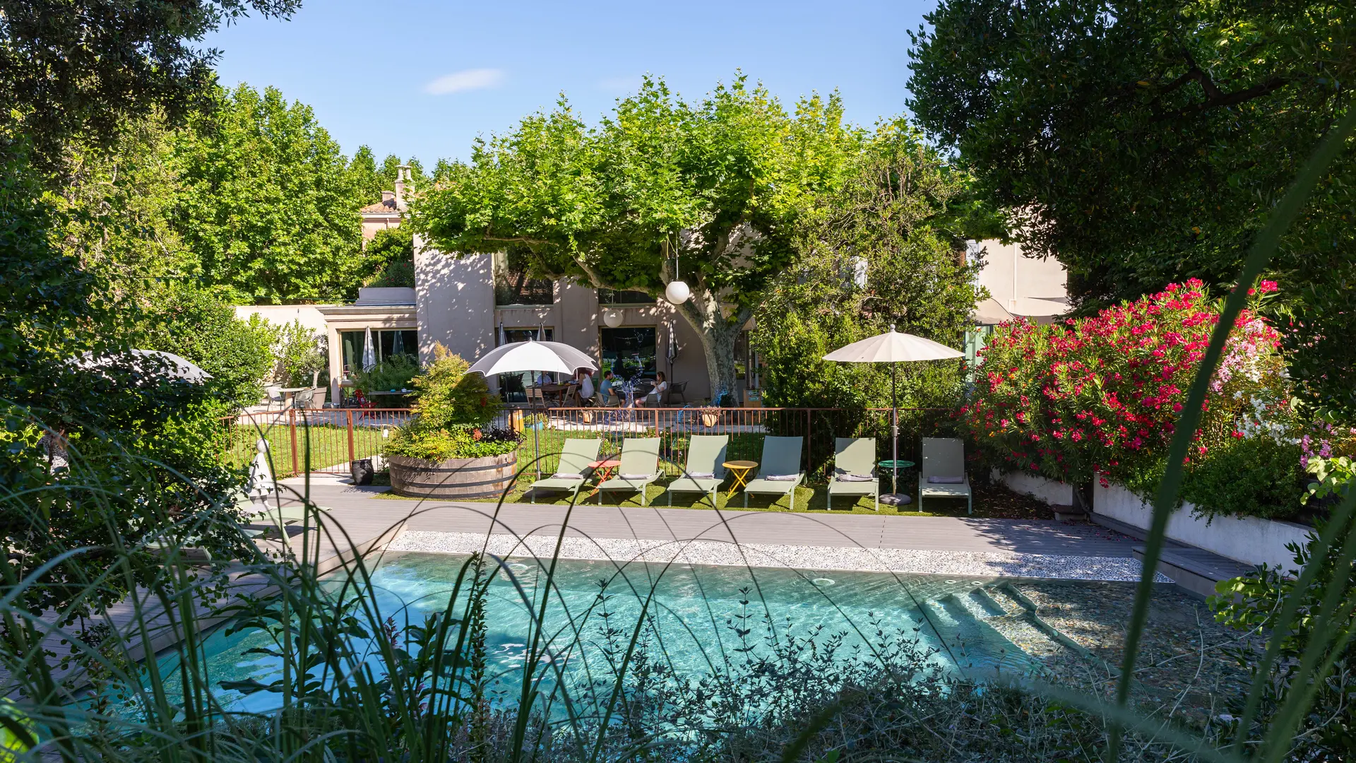 Piscine et terrasse