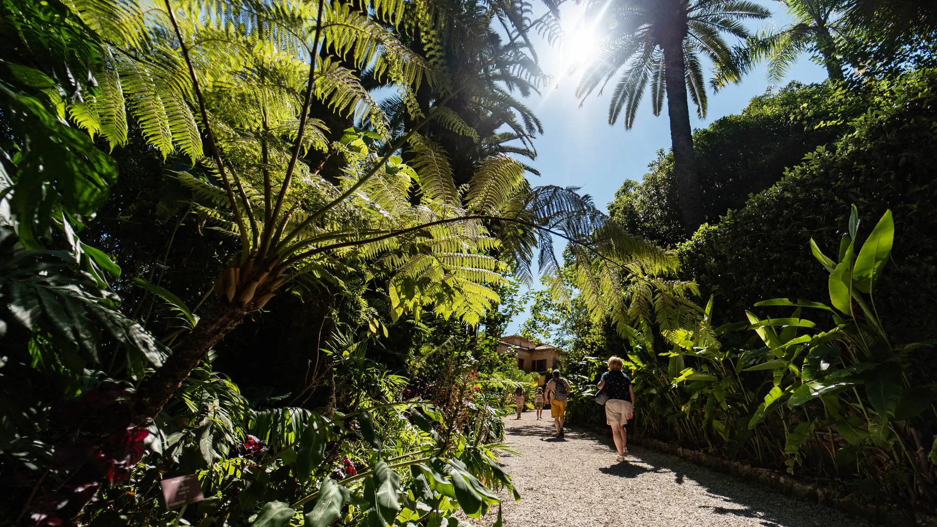 Jardin botanique Val Rahmeh