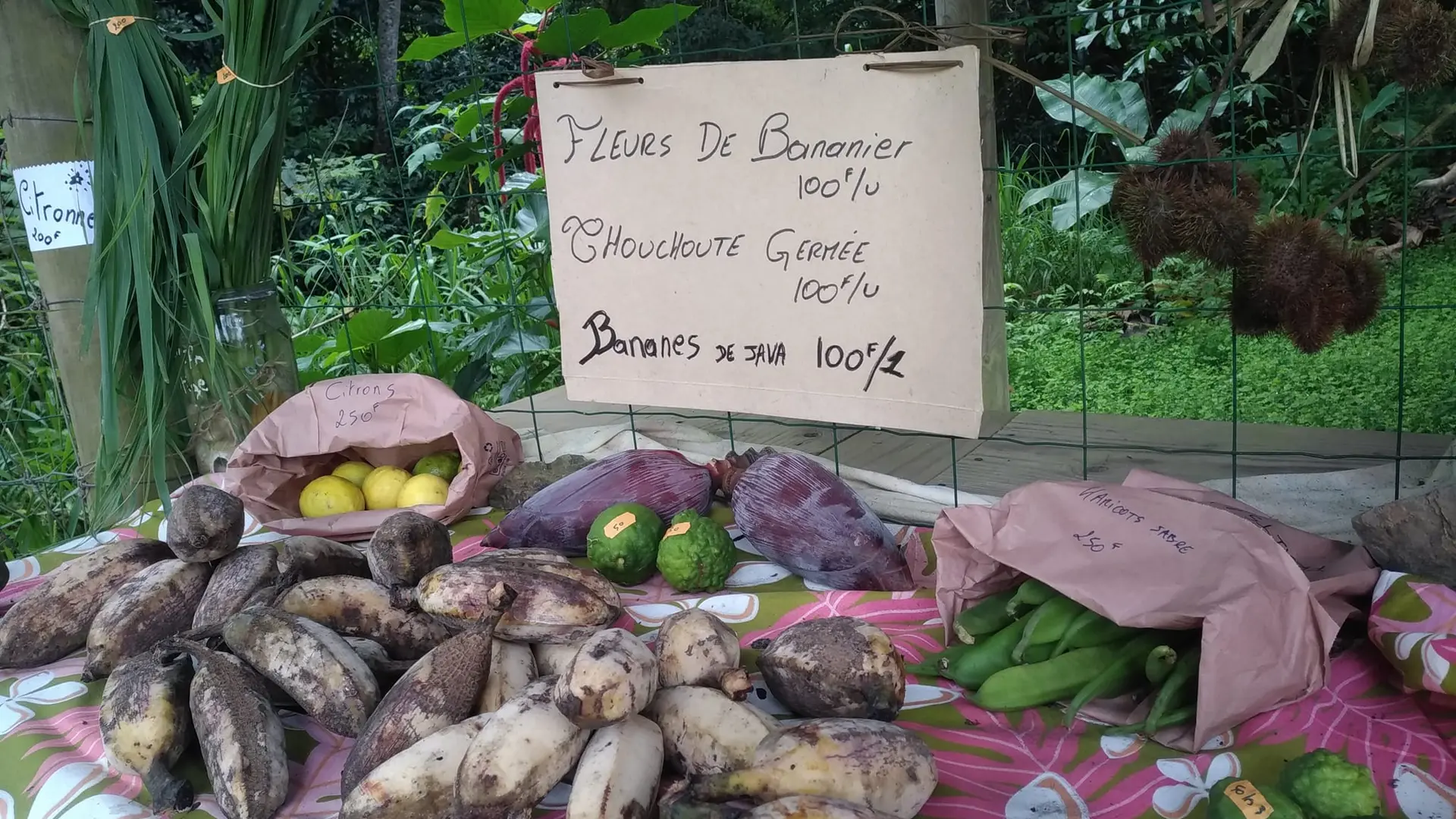 Produits du jardin