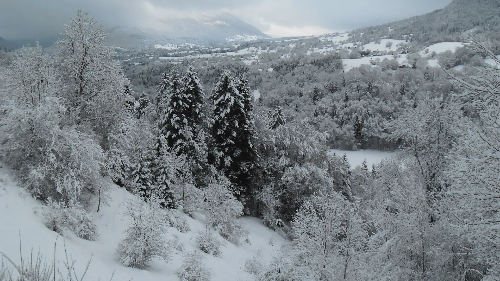 Vue depuis la terrasse en hiver