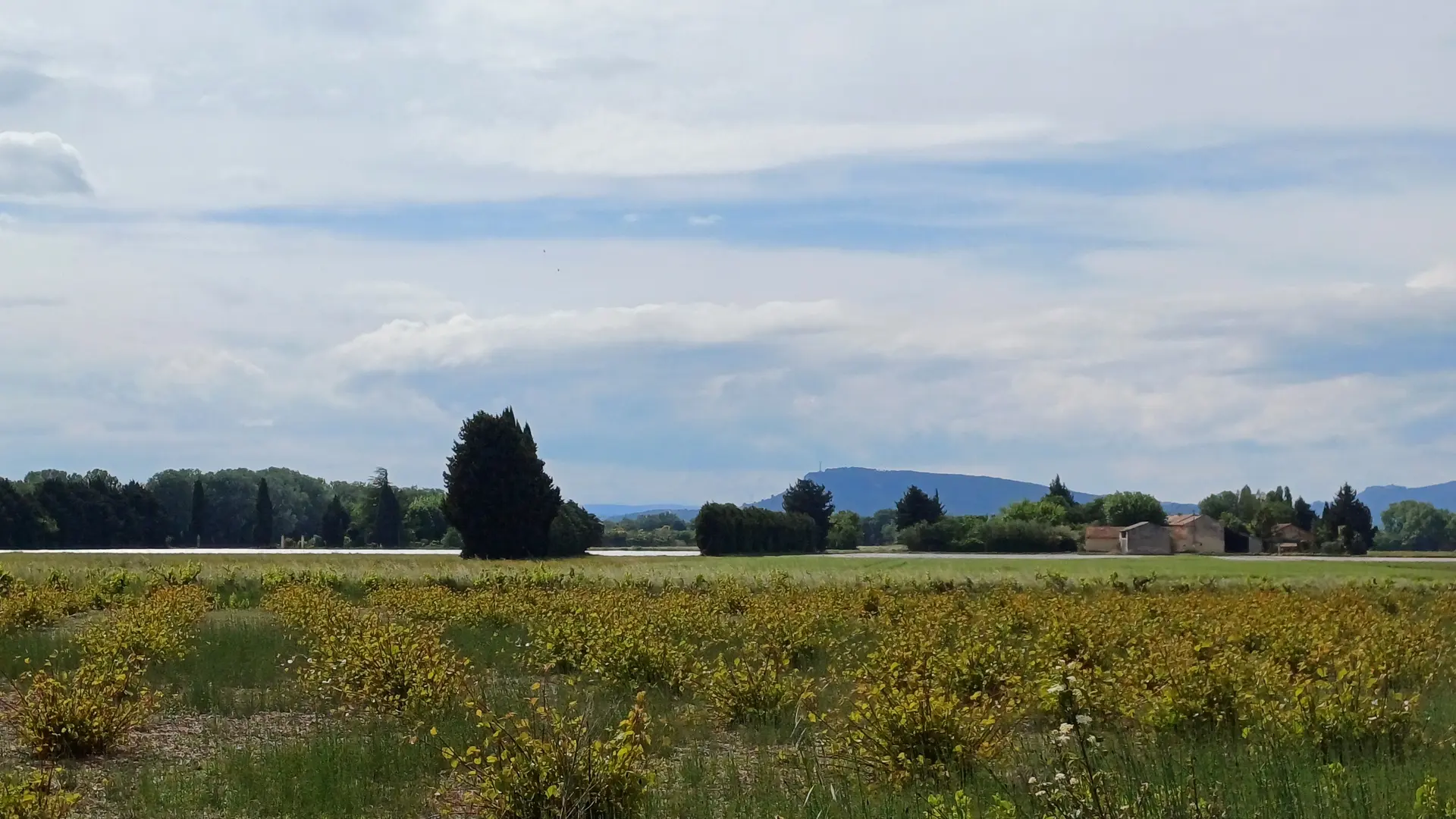 Vers Piolenc par la passerelle de l'Aygues