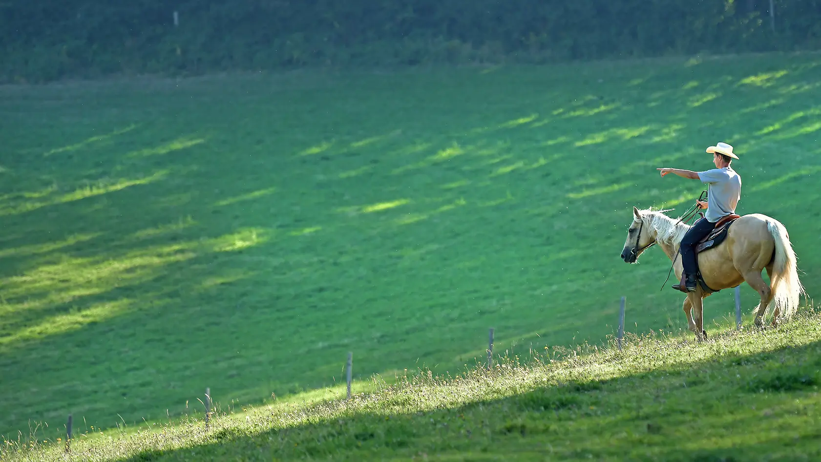 Randonnée équestre