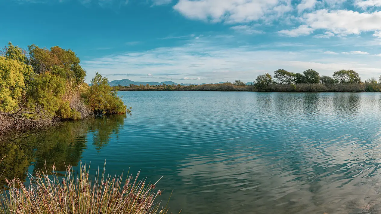 Etangs de Villepey - Fréjus - St Aygulf