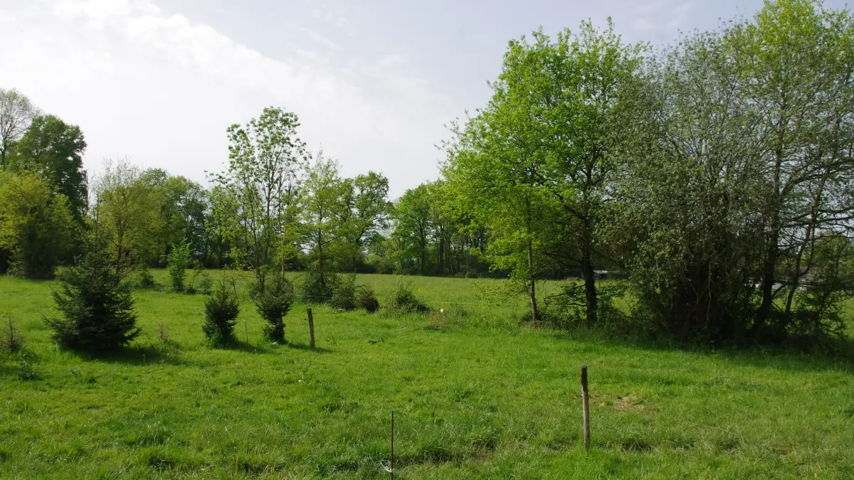 PAYSAGE AUTOUR TINY