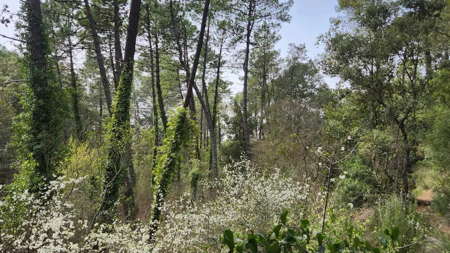 Boucle du domaine Saint-Jean de Villecroze_Villecroze