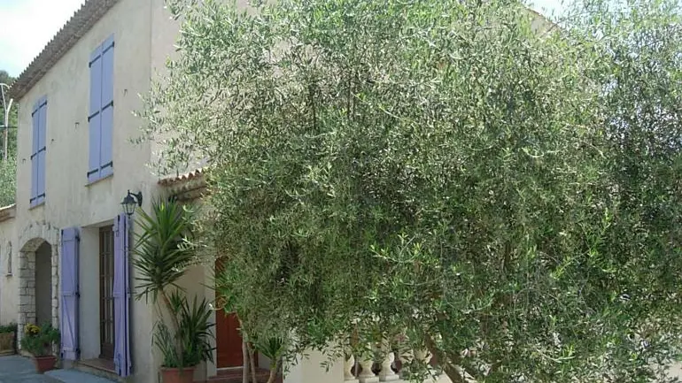 Gîte N°1 La Roche Rouge-Le gîte-Colomars-Gîtes de France des Alpes-Maritimes