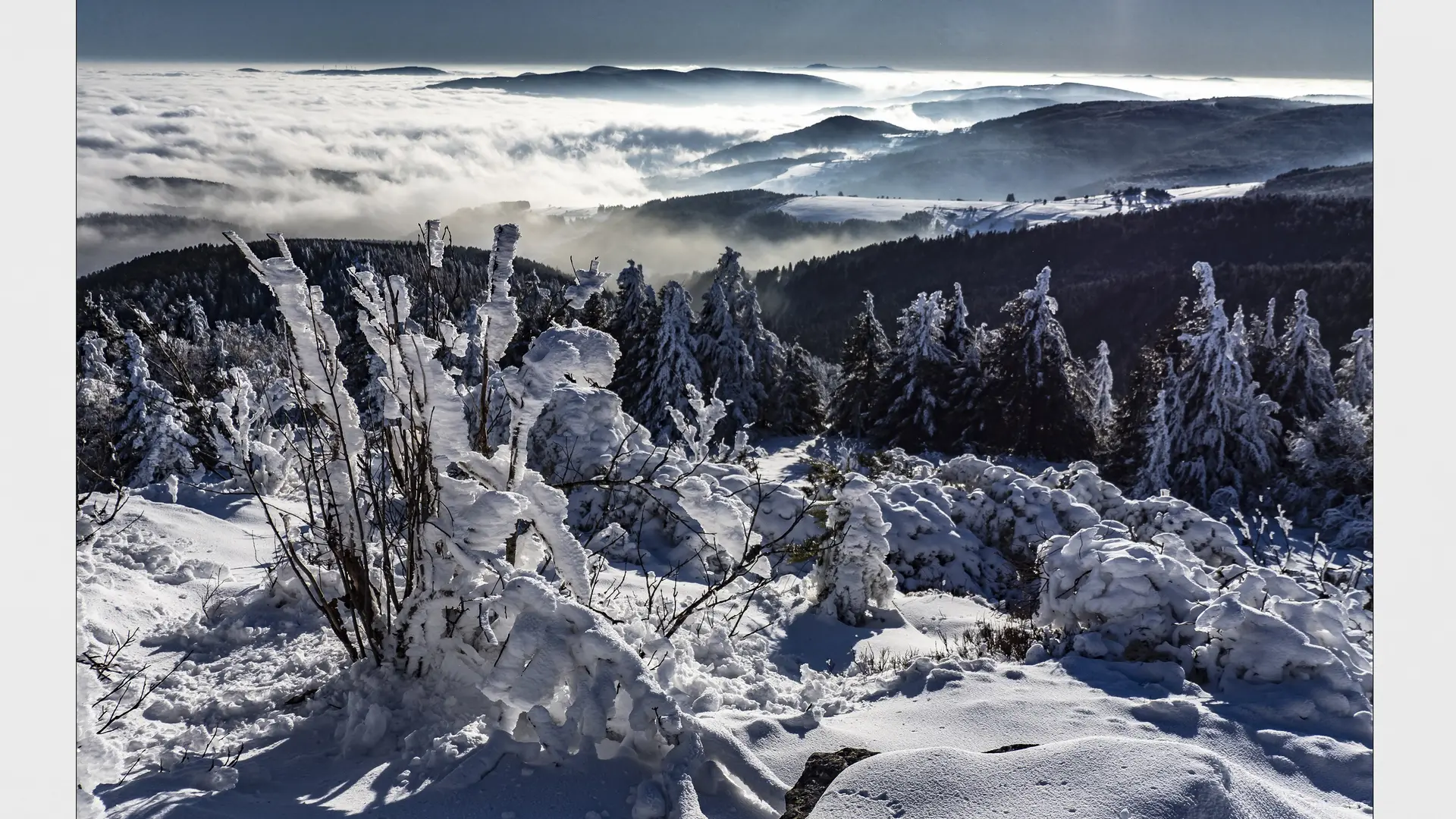 Panorama enneigé deuis les Crêt du Pilat