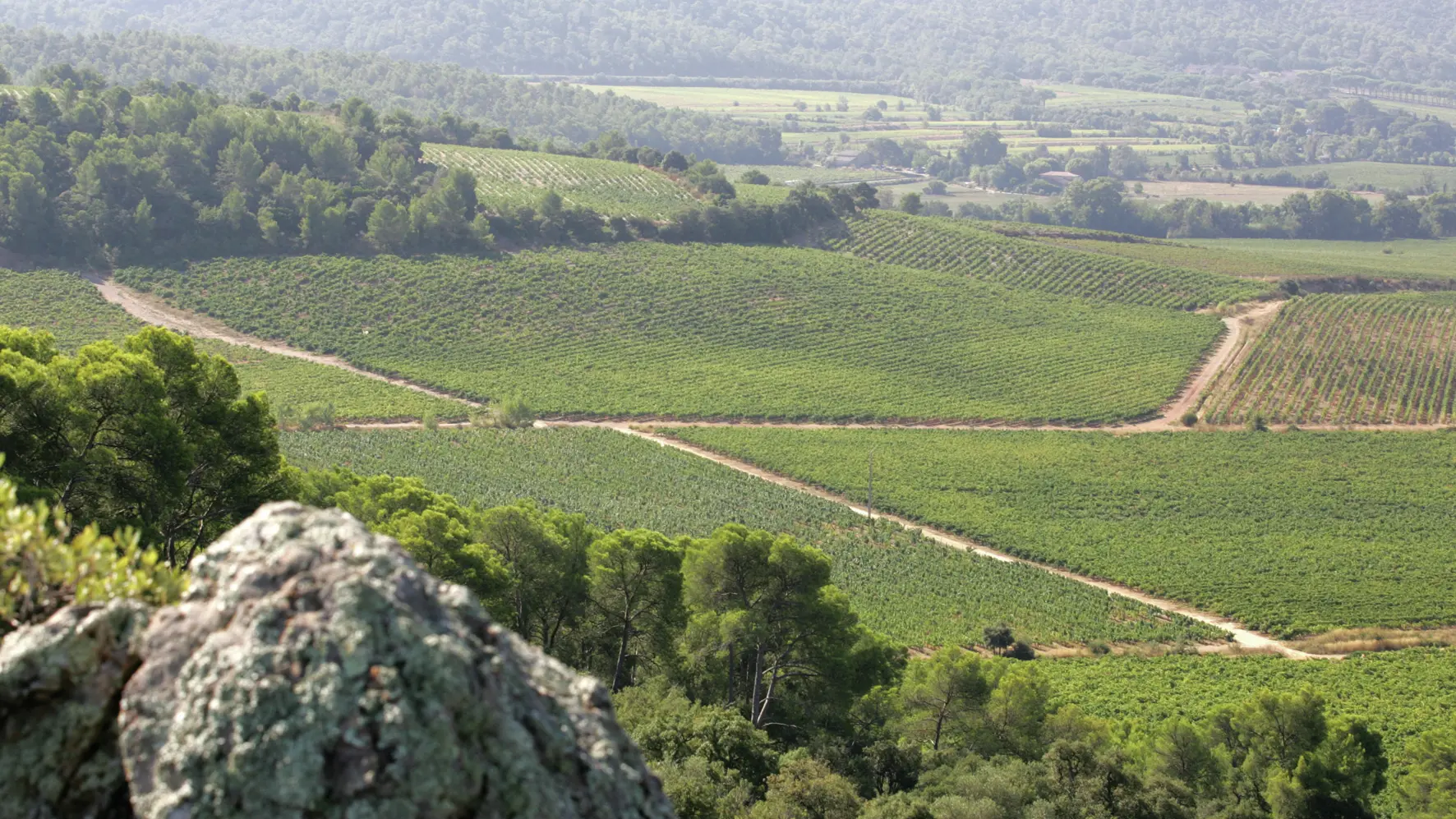 L'Art du Rosé au Château La Gordonne