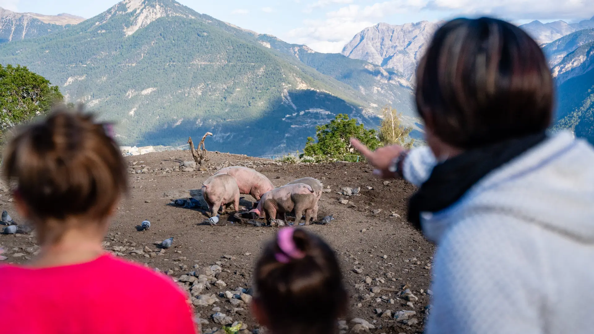 Visite en famille de la ferme, direction les vaches