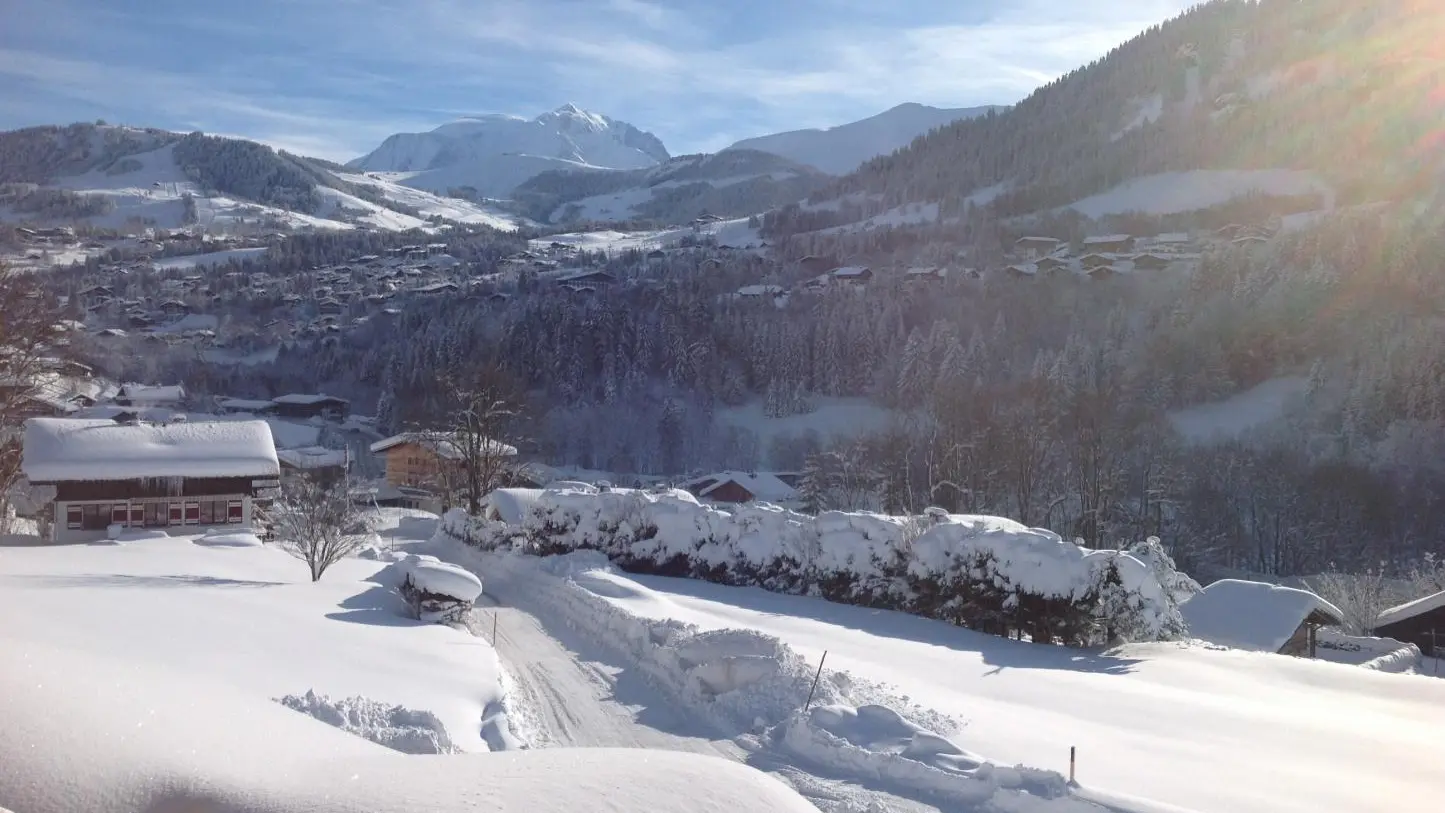 Belle chute de neige